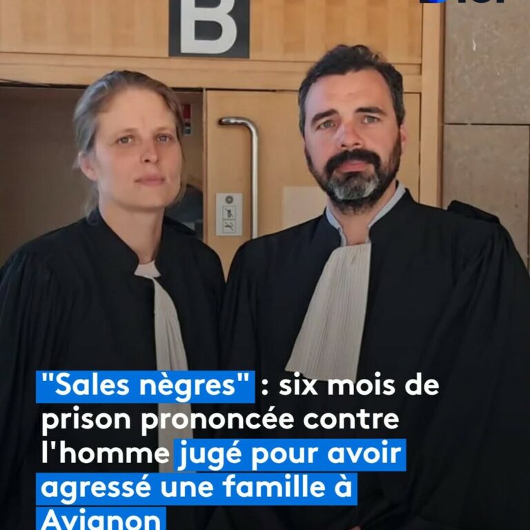 Récharger les preuves (vidéo ou images): 6-mois-de-prison-ferme-pour-lauteur-dinsultes-racistes-a-Avignon